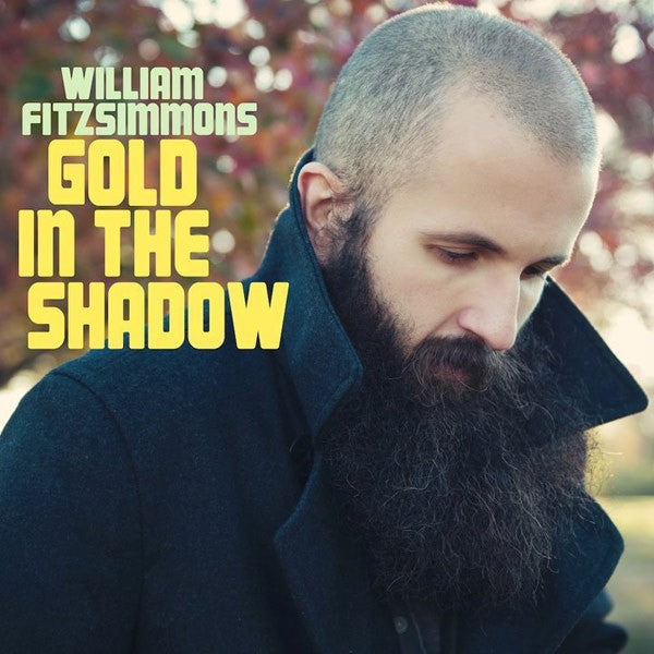 William Fitzsimmons - Gold in the shadow - LP