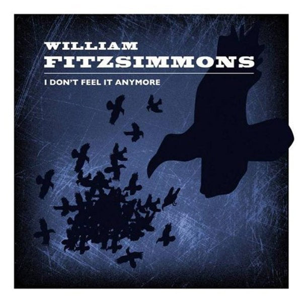 William Fitzsimmons - I Don't Feel It Anymore - LP 